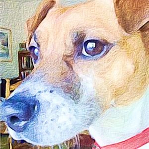 Meet your Posher, Annie